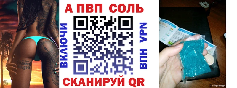A PVP СК  Кашин 