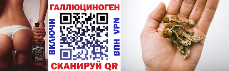 Псилоцибиновые грибы мицелий  Кашин 