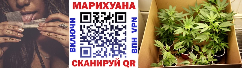 что такое наркотик  Кашин  Бошки марихуана VHQ 